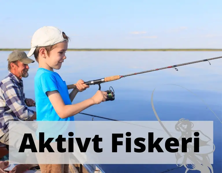 aktivt fiskeri