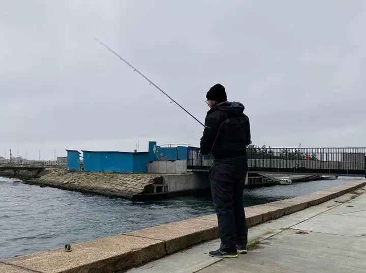 fisk fra københavn havn